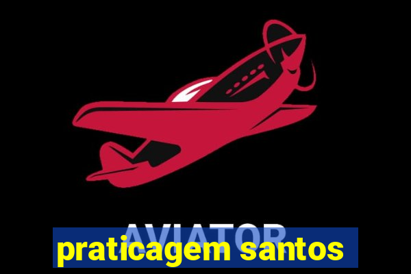 praticagem santos